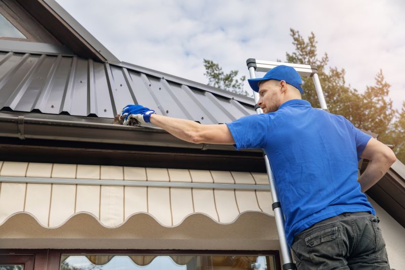 Clean and Maintained Gutters