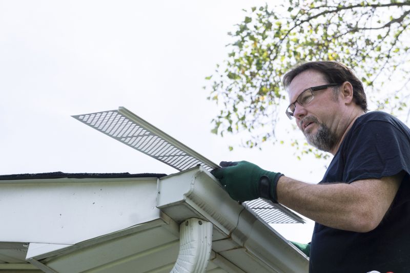 Roofing and Gutter Maintenance Companies